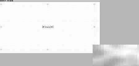 Grid++Report文字框参数绑定技巧