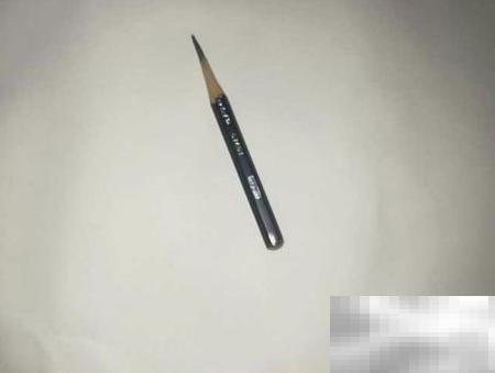 零基础学动漫，轻松上手教程