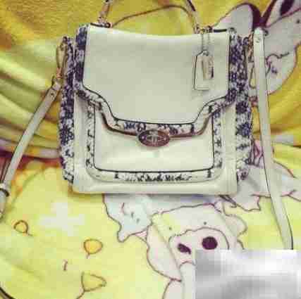 Coach包包保养小技巧