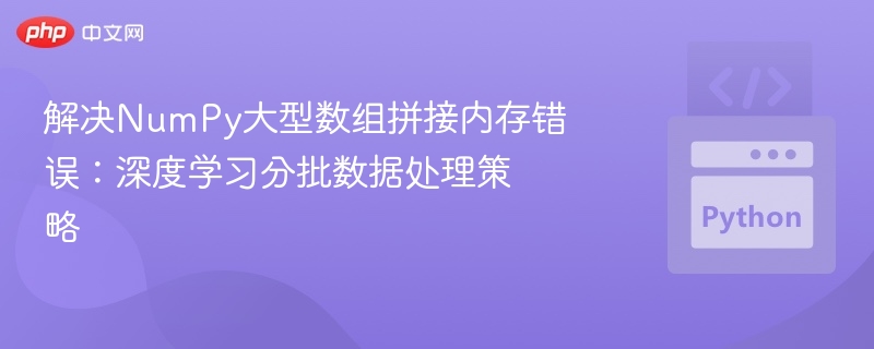 解决NumPy大型数组拼接内存错误：深度学习分批数据处理策略
