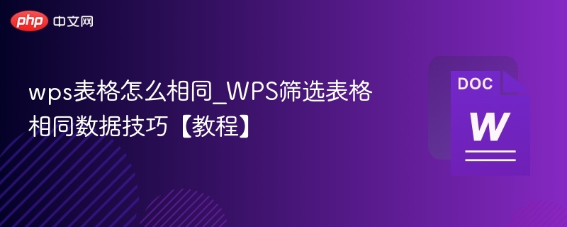wps表格怎么相同_WPS筛选表格相同数据技巧【教程】