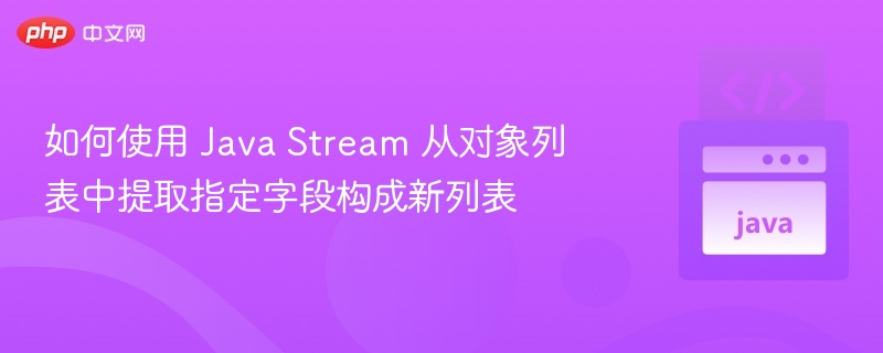 如何使用 Java Stream 从对象列表中提取指定字段构成新列表