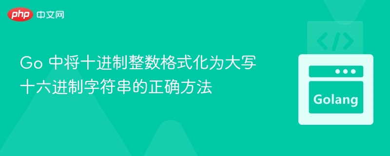 Go 中将十进制整数格式化为大写十六进制字符串的正确方法

