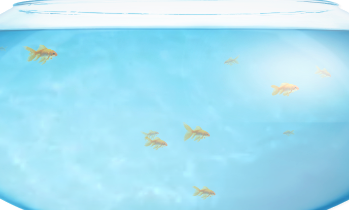 Fishbowl免费测试平台在线养鱼入口