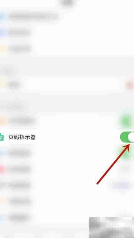 PDF Pro页码指示器开启方法