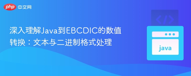 深入理解Java到EBCDIC的数值转换:文本与二进制格式处理