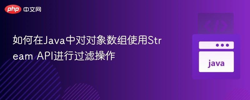 Java对象数组Stream过滤技巧