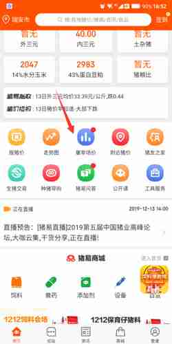 猪易通app猪价涨跌表查看位置