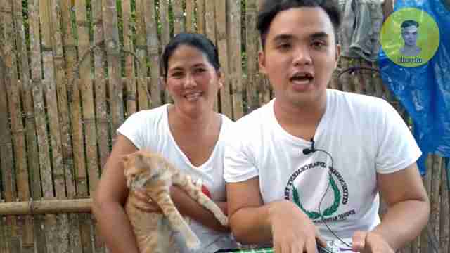 趣味猫语翻译器评测:真能听懂猫咪心声?