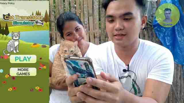 趣味猫语翻译器评测:真能听懂猫咪心声?