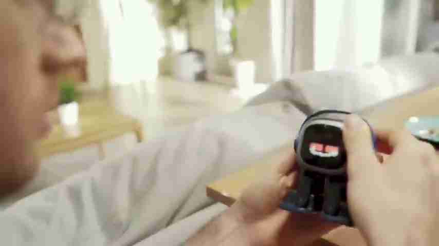 2025年亚马逊AI宠物机器人选购终极指南：17款最佳推荐