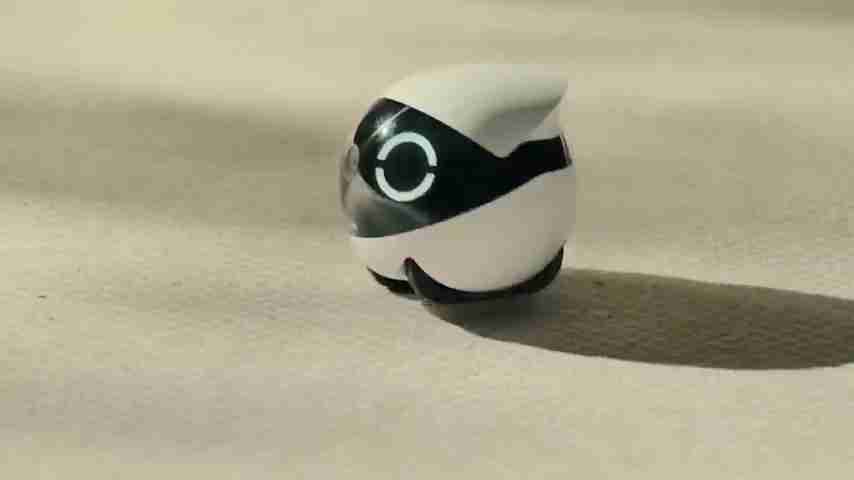 2025年亚马逊AI宠物机器人选购终极指南：17款最佳推荐