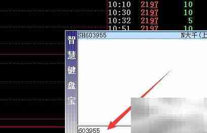 大千生态基本面查看指南