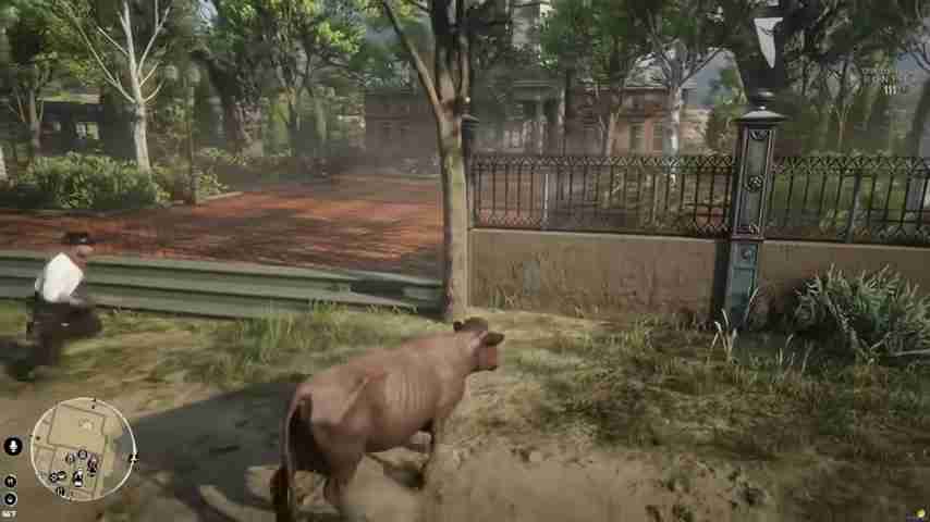 Red Dead Redemption 2角色扮演服务器动物变形模组实况