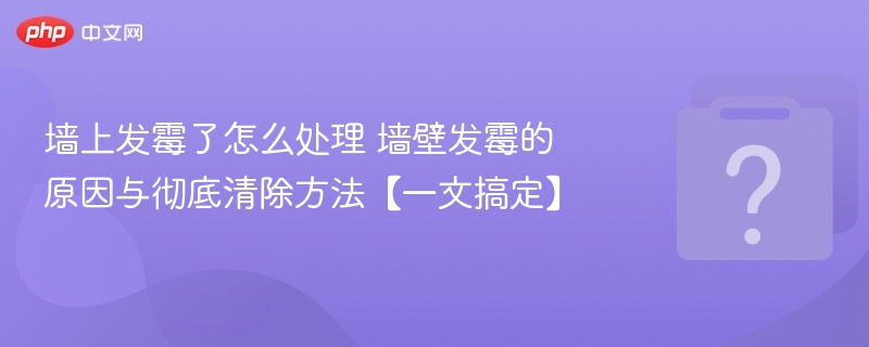墙发霉原因及清除方法详解