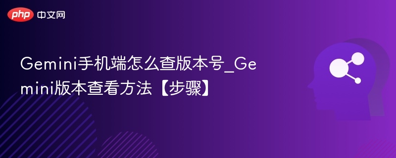 Gemini手机端怎么查版本号_Gemini版本查看方法【步骤】