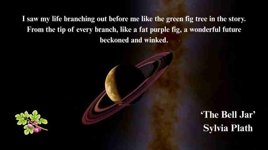 星象解读:希尔维亚·普拉斯的自杀悲剧及星盘分析