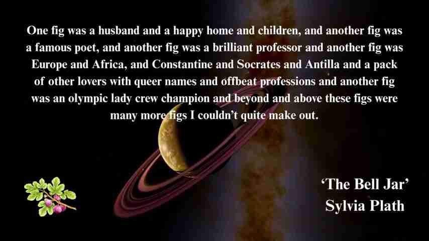 星象解读:希尔维亚·普拉斯的自杀悲剧及星盘分析