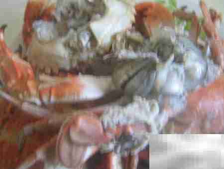 河蟹食用安全判断方法