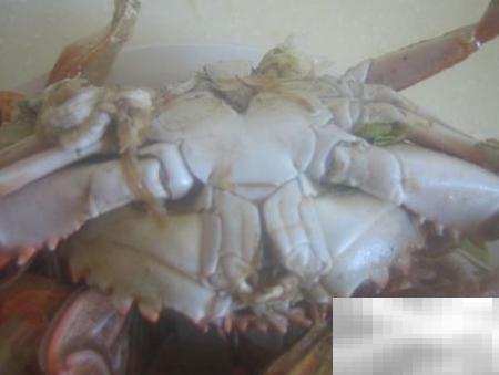 河蟹怎么判断是否新鲜可吃