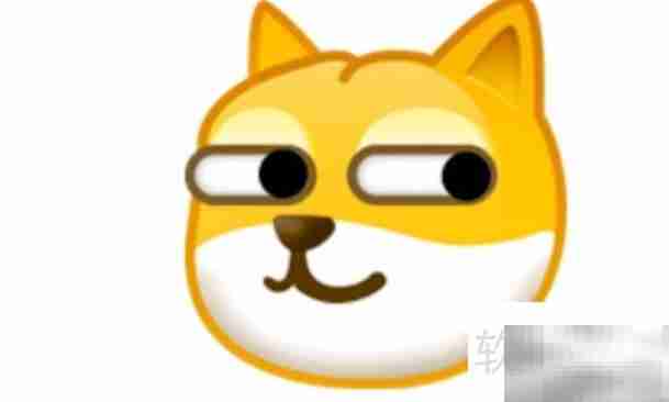 旺柴狗表情含义解析