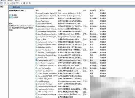 Win11系统优化技巧