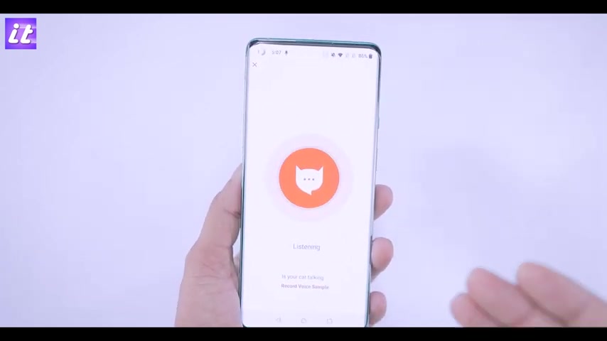 猫语翻译器MeowTalk：读懂猫咪语言