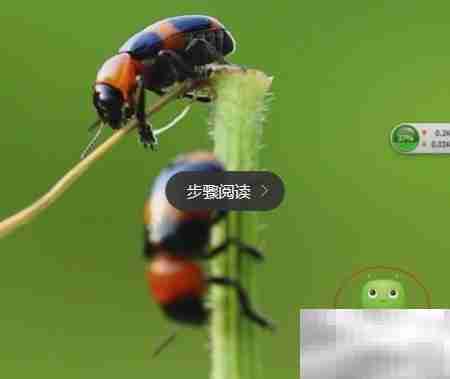 定时关机设置与取消方法