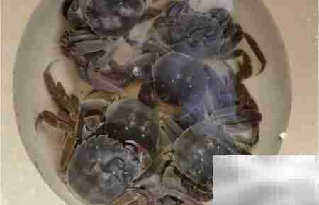 河蟹煮几分钟最佳?