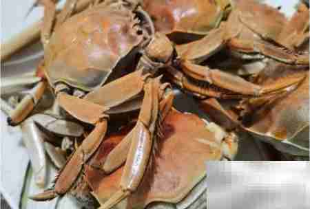 河蟹煮几分钟最佳?