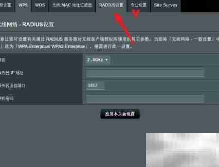华硕路由器RADIUS设置指南