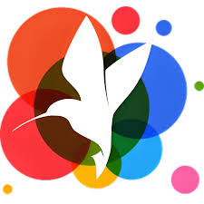 小鸟壁纸组件设置详解