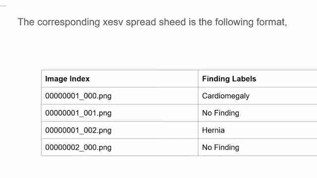 AI在X光图像处理中的应用：医学影像新纪元