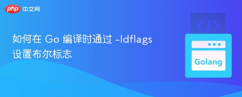 如何在 Go 编译时通过 -ldflags 设置布尔标志
