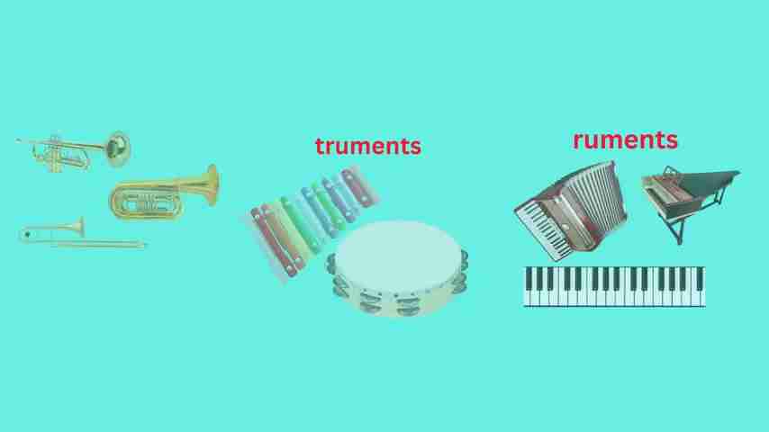 探索音乐的奥秘：100种乐器及其声音的奇妙世界