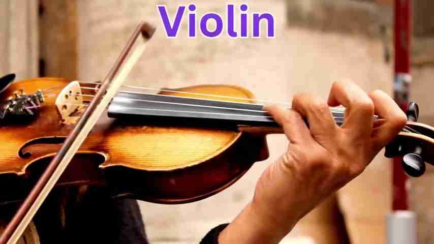 探索音乐的奥秘：100种乐器及其声音的奇妙世界