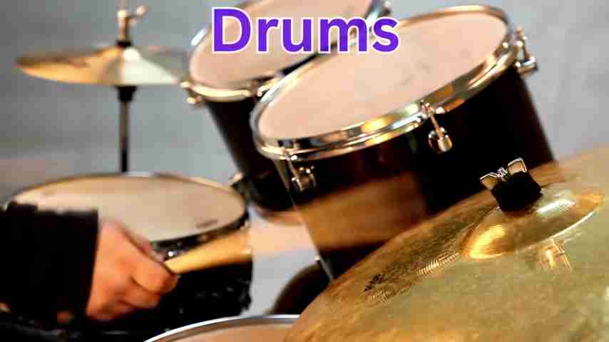 探索音乐的奥秘：100种乐器及其声音的奇妙世界