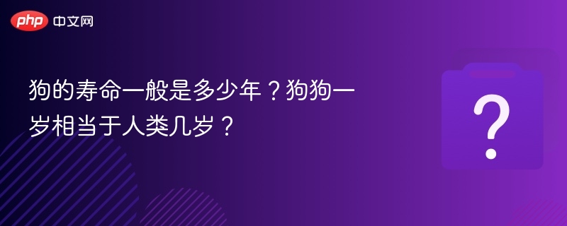 狗的寿命一般是多少年?狗狗一岁相当于人类几岁?