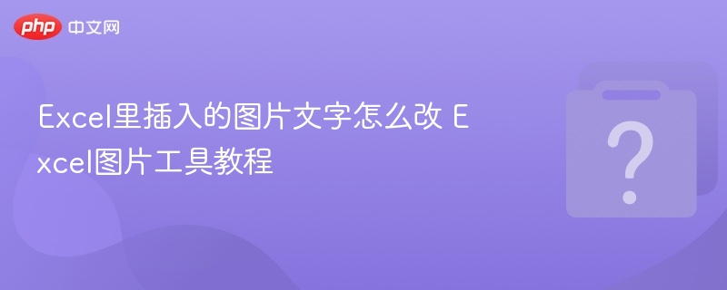 Excel里插入的图片文字怎么改 Excel图片工具教程