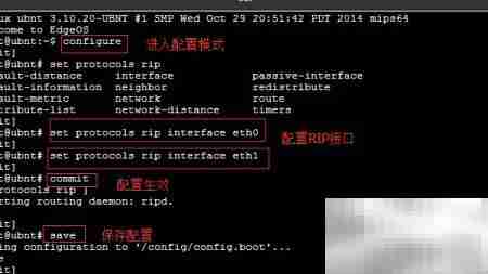 EdgeRouter RIP配置指南