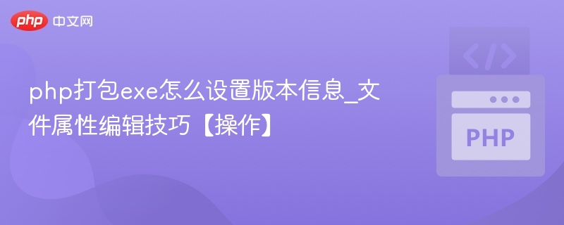 php打包exe怎么设置版本信息_文件属性编辑技巧【操作】