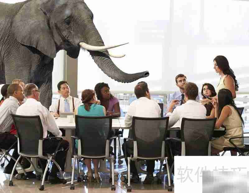 大象在房间是什么意思