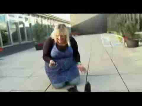 探索人猫交流新方式：猫语翻译App评测与应用