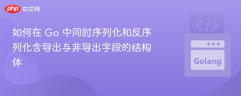 Go结构体序列化与反序列化详解