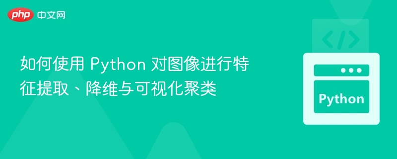 如何使用 Python 对图像进行特征提取、降维与可视化聚类
