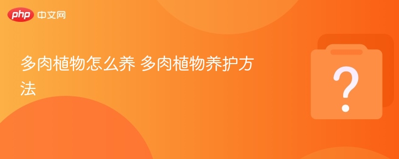 多肉怎么养多肉养护技巧大全