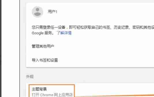 谷歌浏览器怎么设置皮肤-谷歌浏览器设置皮肤的方法