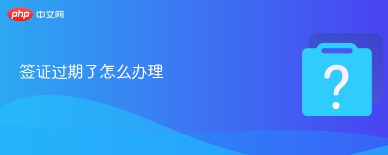 签证过期了怎么办理