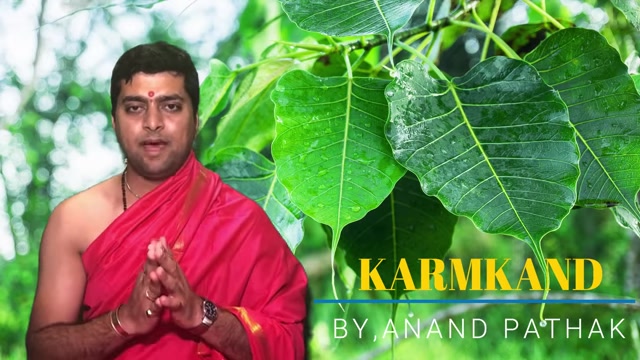 菩提树的信仰与象征意义详解