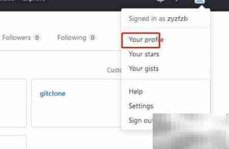 GitHub查看标签方法